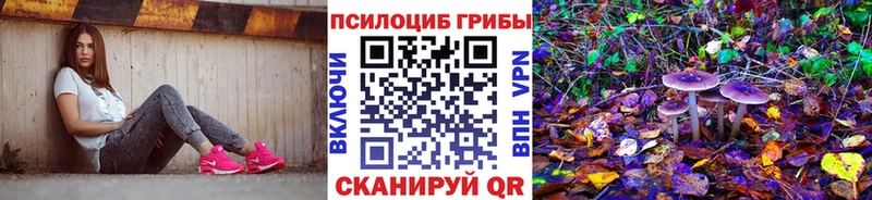 Галлюциногенные грибы MAGIC MUSHROOMS  Купить закладки  Изобильный 