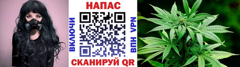 Купить закладки Изобильный Канабис Ganja